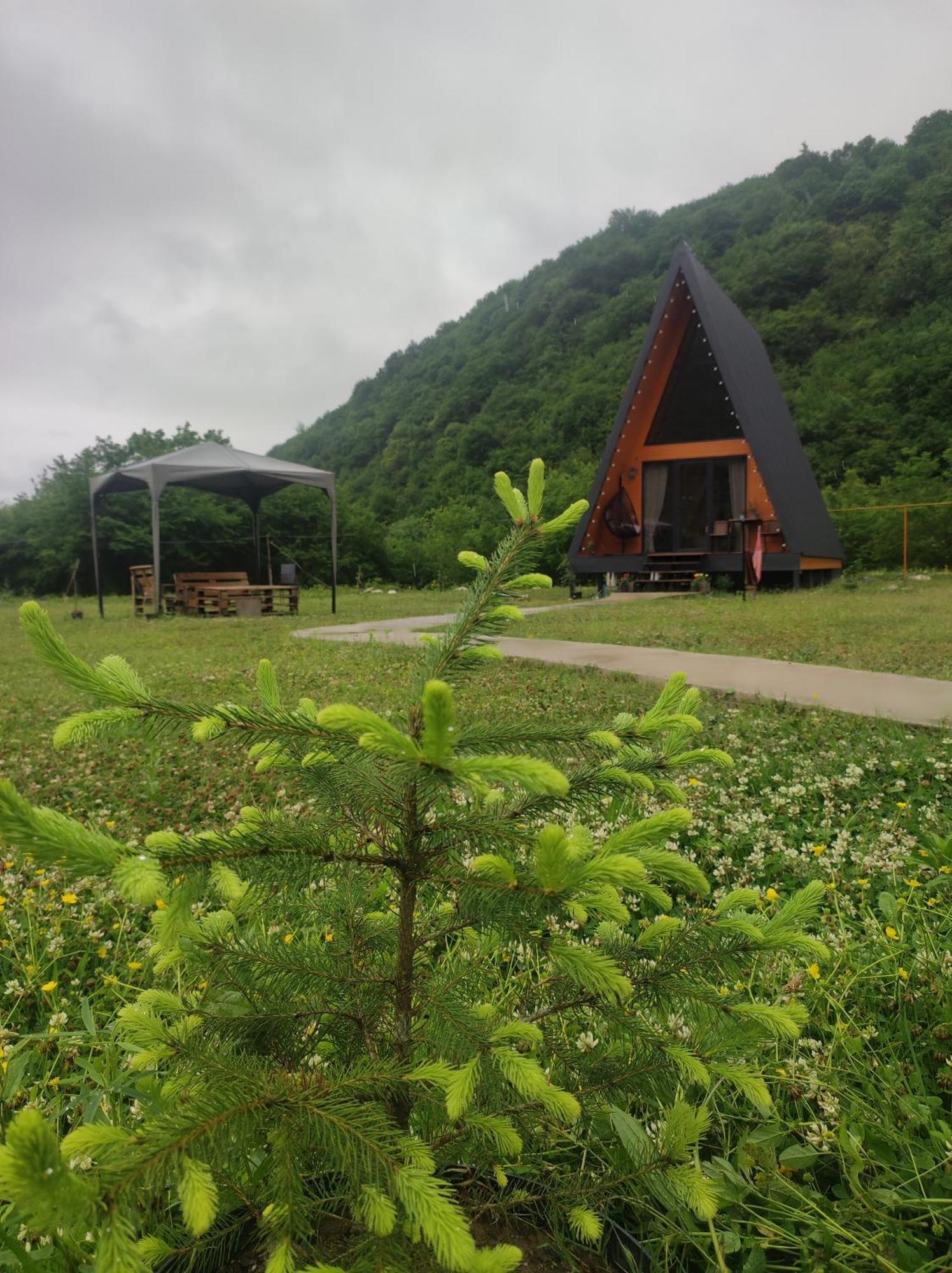 Luxury tent Canyon Garden
